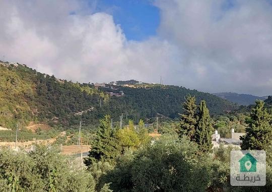 قطعة أرض مزروعه بالكامل للبيع 
