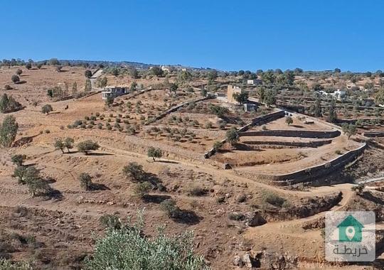ارض مميزة للبيع وبسعر مميز السلط الصبيحي 