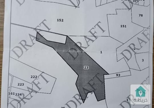 ارض حرجية للبيع في عجلون/كفرنجة خلف القلعة 
