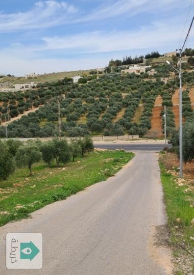 ارض مميزه في بيرين على بعد ٥ دقائق من شفا بدران  حوض القصبات 