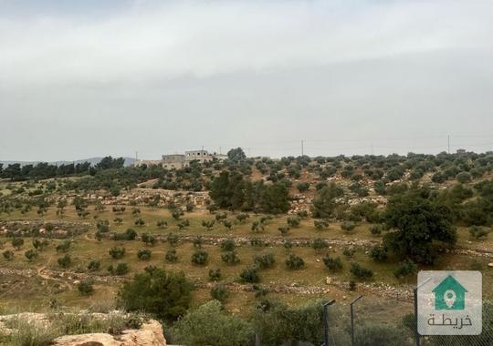 ارض للبيع في احمل مناطق السلط / الصبيحي 