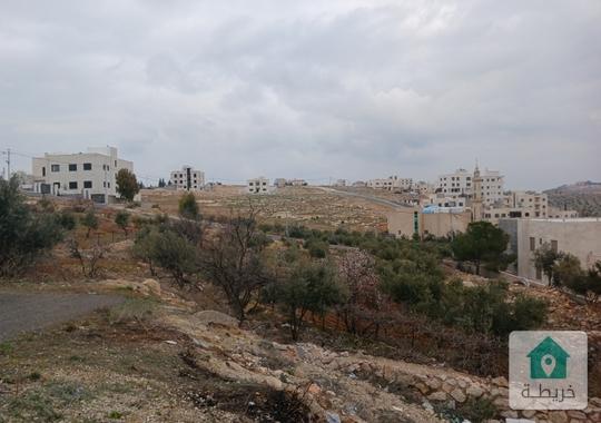 ارض للبيع زينات الربوع 