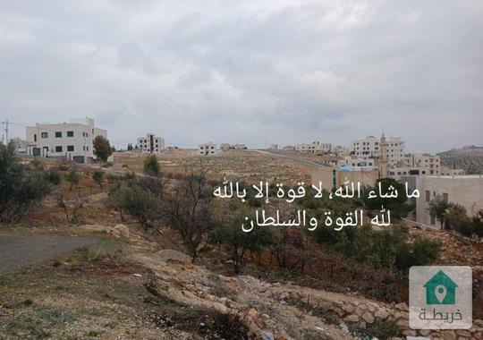 ارض للبيع زينات الربوع 