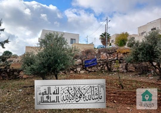 ارض للبيع زينات الربوع 