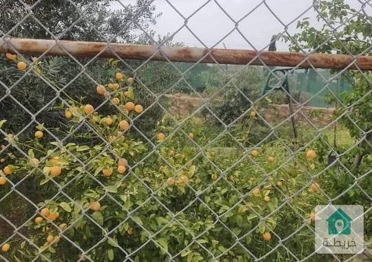 مزرعه للبيع في بيرين صروت