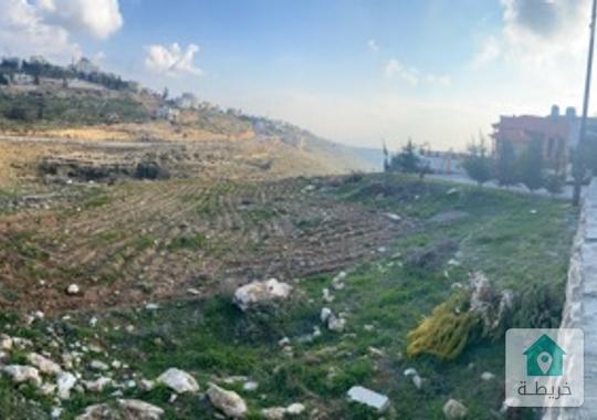 ارض مستقلة للبيع في البلقاء السلط شارع الستين 
