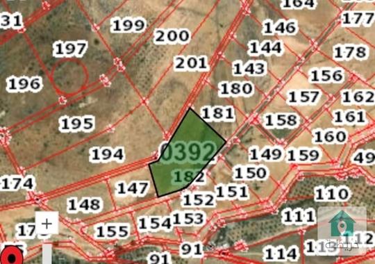 أرض حمرة الصحن عشرة دونمات للبيع النقدي 