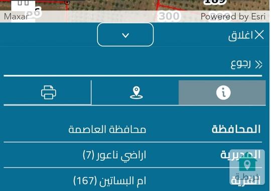 اربع دونمات ونصف ام البساتين خلف جامعة الزيتونة حوض الماحله 