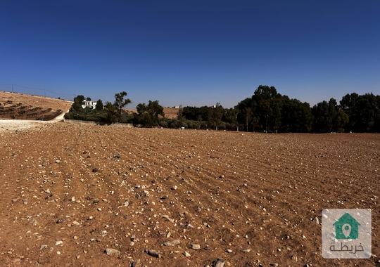 للاستثمار السريع 10دونم في نتل حوض  الربابه بسعر لقطه
