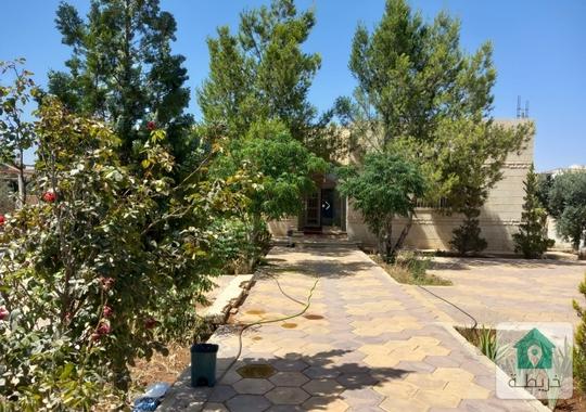 بيت مستقل للبيع في المفرق – مساحة واسعة وحديقة كبيرة