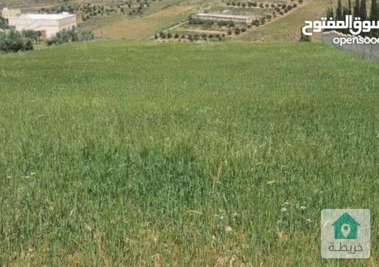 ارض رقم القطعه ٢٨٩للبيع 