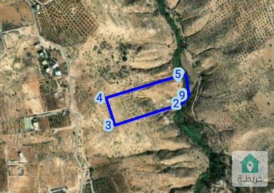 22دونم للبيع في عراق الامير 3600لدونم