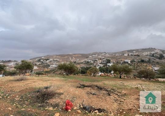 500 متر قضاء بيرين للبيع 