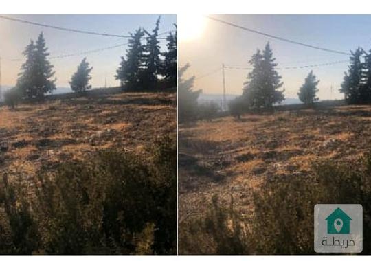 ارض مميزة بالقرب من جامعة عمان الأهليه مستوية على قمة جبل 