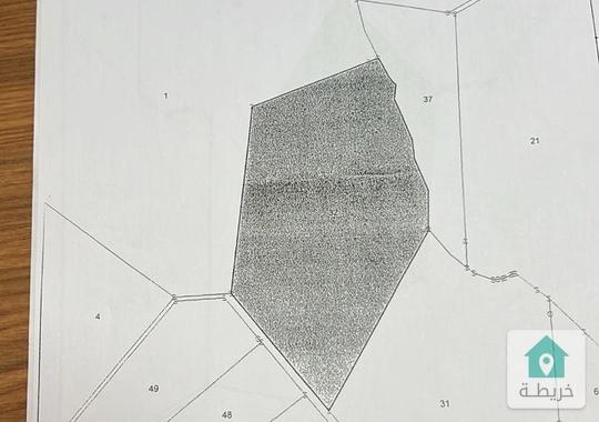 ارض للبيع ( مادبا )