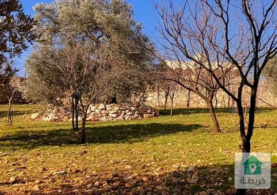 مزرعة مميزة جدا تقع على أعلى قمة عجلون منطقة عنجرة  للبيع 