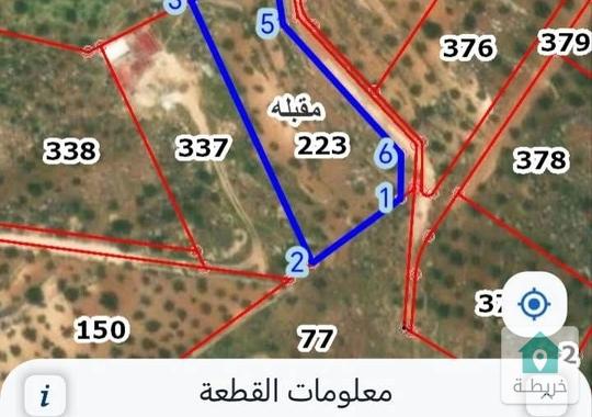 ارض للبيع في جرش ثغره عصفور اربع دنمات وا 25متر 