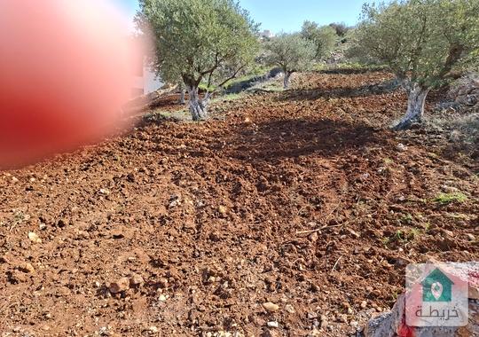 ارض للبيع السلط سوادا الشمالي