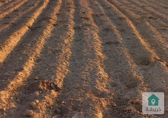 ارض للبيع في الذهبيه الغربية بجنب مشروع شهد 4