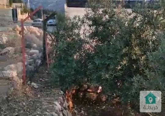 ارض للبيع في ناعور زبود وسيل حسبان