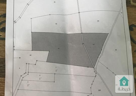 مزرعة للبيع