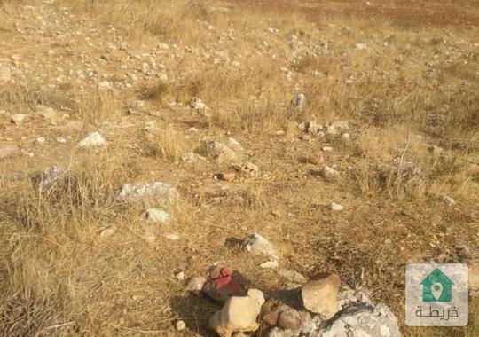 ارض زراعيه للبيع في قريه شطنا 