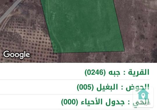 ارض زراعيه للبيع