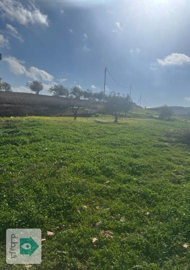 ارض مساحتها ٨٣٥٨ متر مربع نعيمه