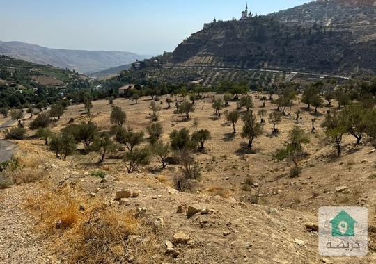 ارض للبيع في البحاث مقابل منتجع البحاث ـــــــــــــــــــــــــــــــــــــــــ