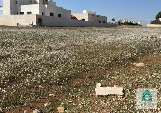 منجا -جنوب عمان -تلعه النوران 