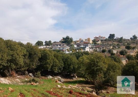 أرض مميزة جدا في منطقة زي