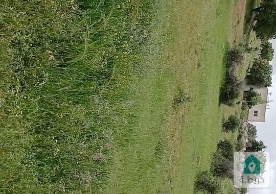 ارض على الشارع الرئيسي 3600  في صروت