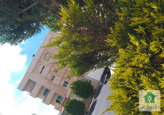 عماره في الرونق البيادر بسعر مميز عل شارعين السعر قابل للتفاوض 