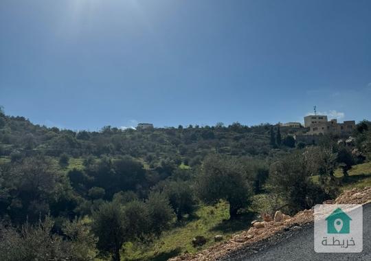 3 دونمات في بدر الجديدة من المالك مباشرة وتنظيم سكن اخضر ب باحكام خاصة سعر منافس جدا