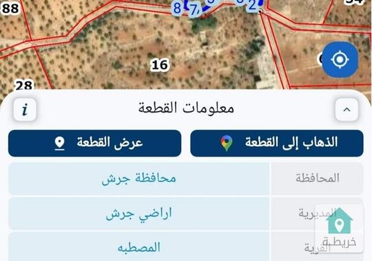 منطقة المصطبه من اراضي جرش خلف جامعة فيلادلفيا
