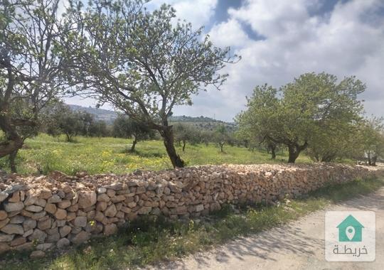 عدة نمر أراضي للبيع من أراضي عجلون سامتا عبين صخره  للأستفسار وسيط0778798903 