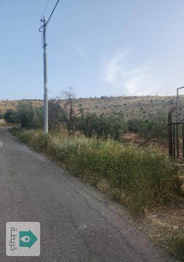 أرض مميزة للبيع غرب مدينة السلط