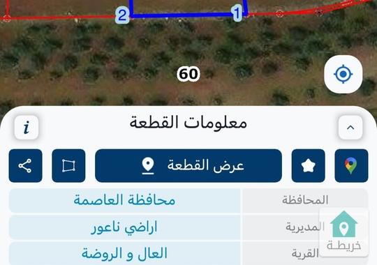 ارض للبيع في ناعور منطقة العال و الروضة