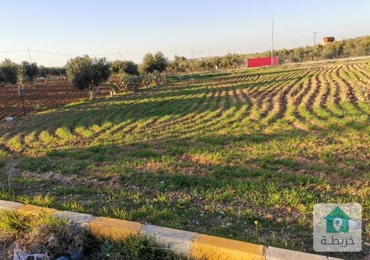 ارض سكن ٥٠٢ م داخل حدود أمانة عمان ضمن مجمع واصل جميع الخدمات