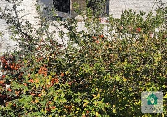 فيلا البيع او الاستثمار في (الصويفية)