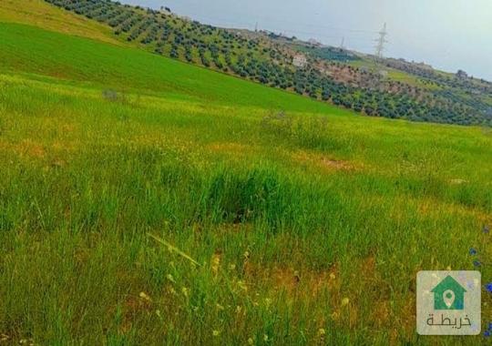 ارض مميزة للبيع تصلح مزرعة أو سكن خاص