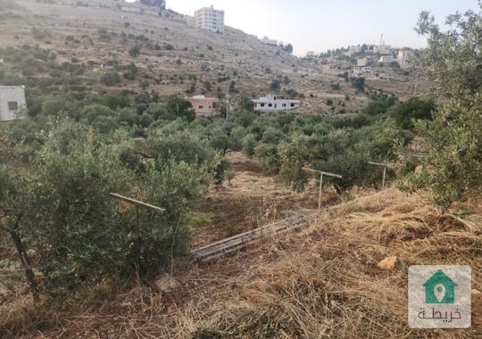للبيع:أرض مميزة في السلط- أسفل شارع الستين.