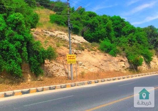 ارض في بدر الجديدة ش. الرئيسي للبيع 