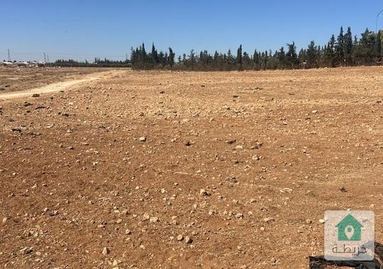 أرض مميزة للبيع في أم العمد  حوض النجمية  4749 م²  واجهتان على الشارع