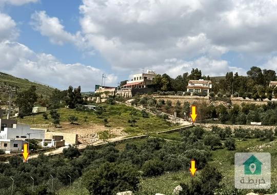 4 دونم مزرعة زيتون مثمر جميع الخدمات مع اطلاله وقابلة للفرز
