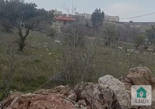 قطعة أرض للبيع في عجلون خلف جامعة عجلون الوطنيه