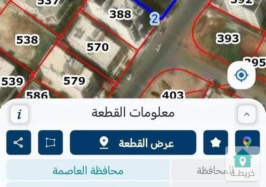 قطة ارض في حي ابو الراغب المقابلين 