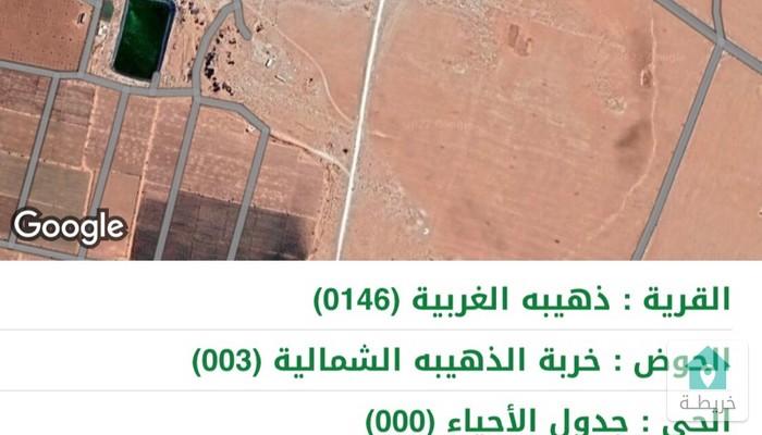 16624644448630