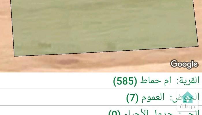 16779593283030