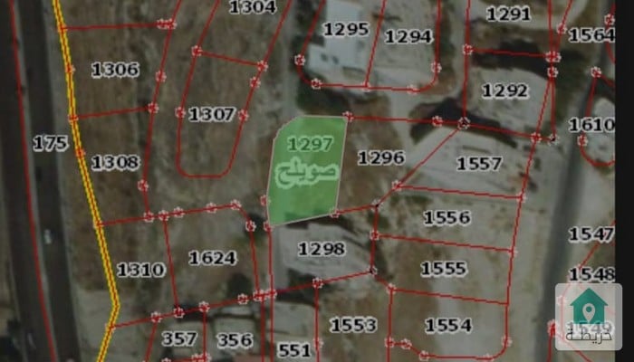 16779326686900